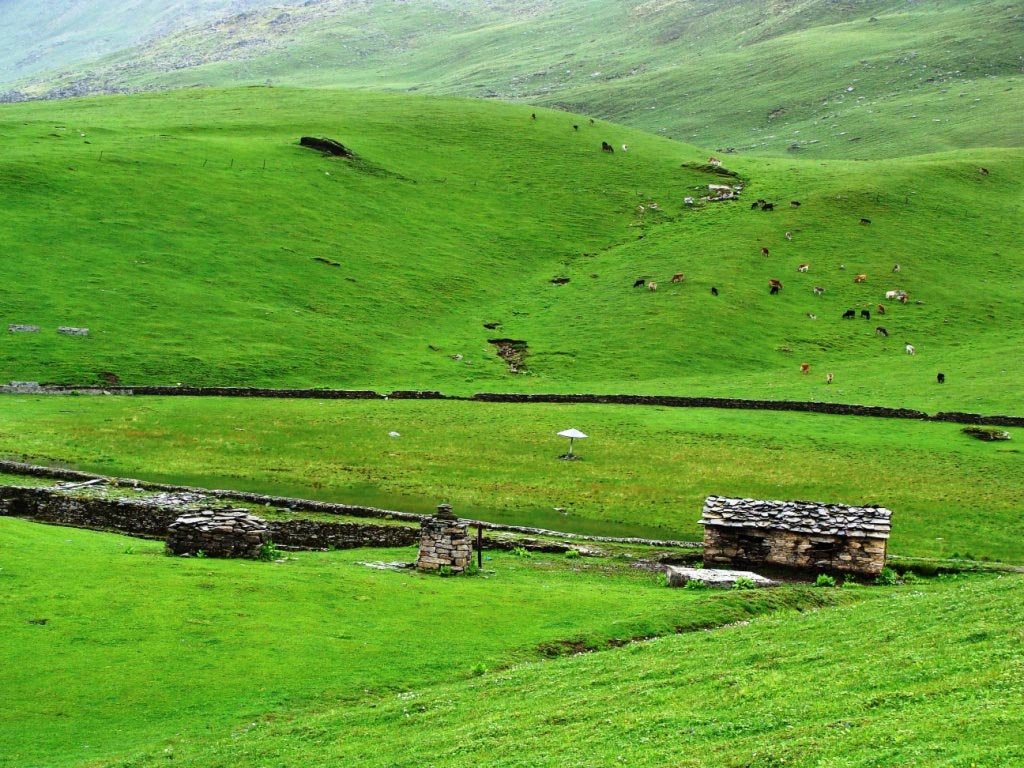 Auli Bugyal and Himalayan landscape