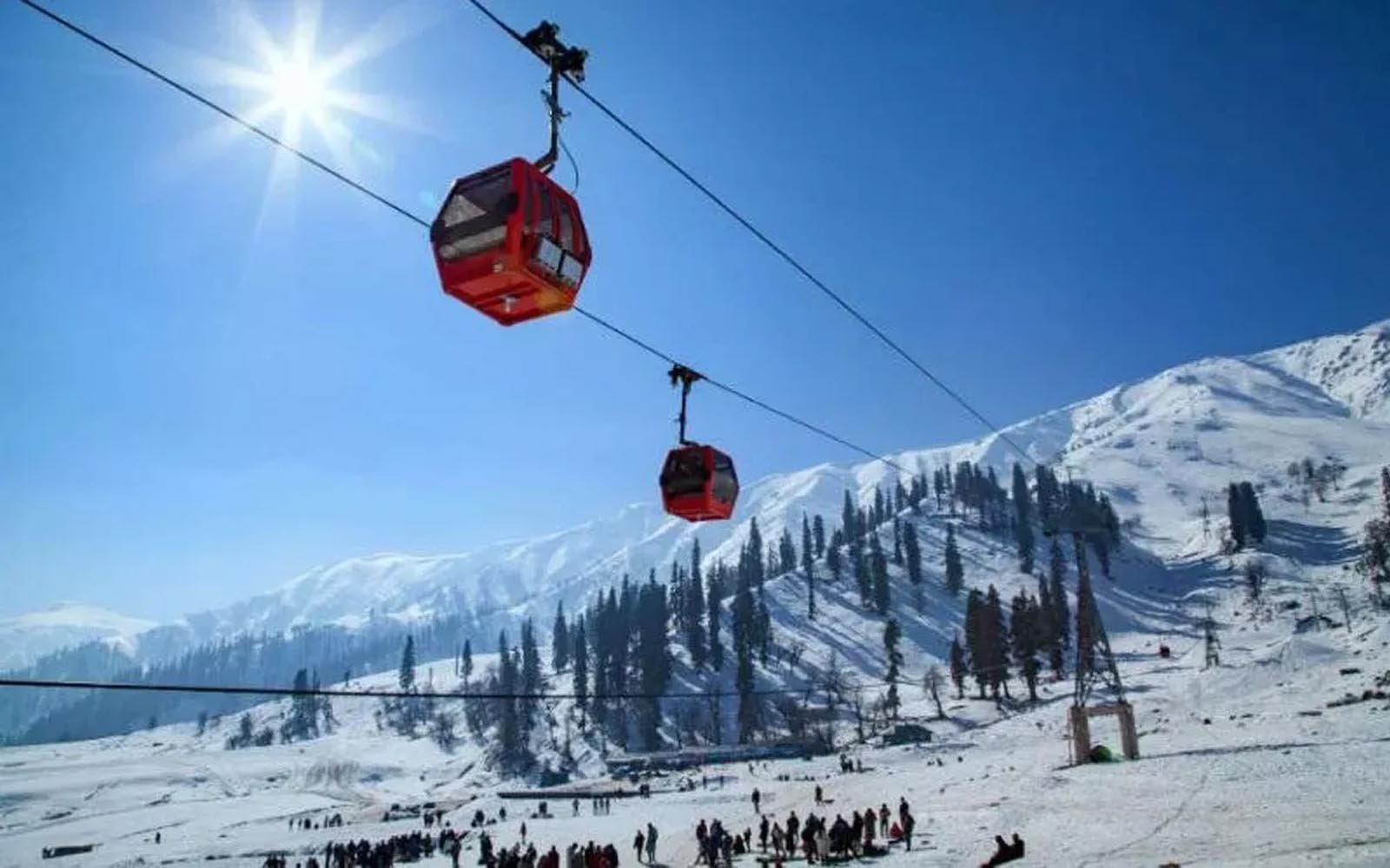 Auli