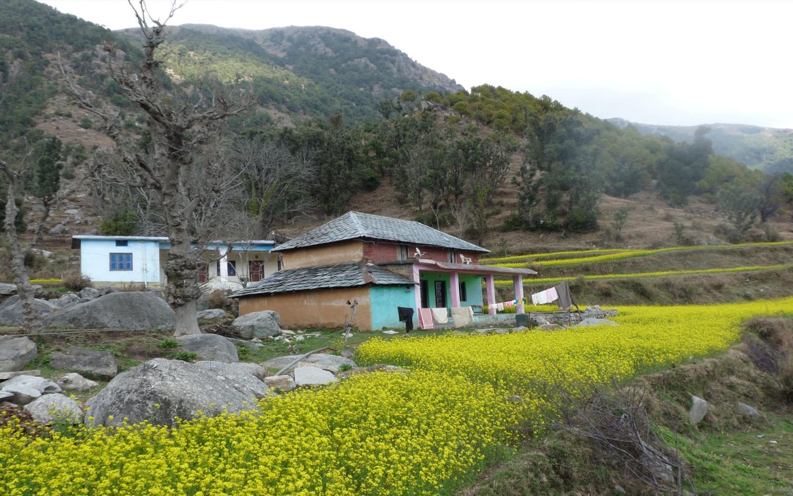 Village life in Chamoli