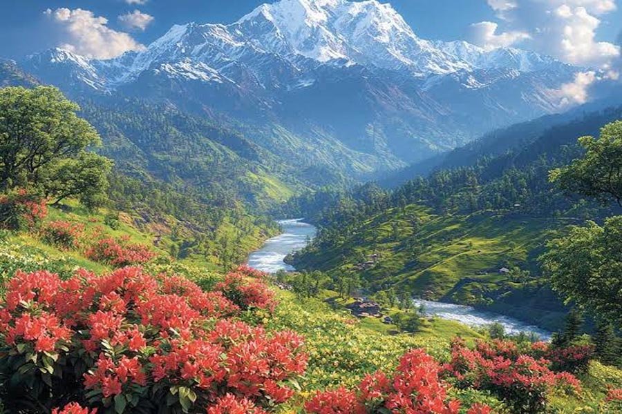 Spring in Chamoli