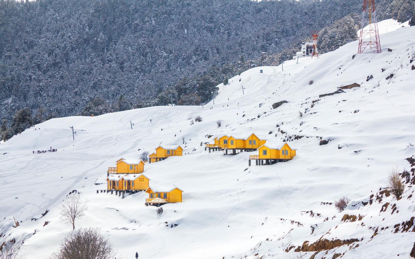 Snowfall in Auli