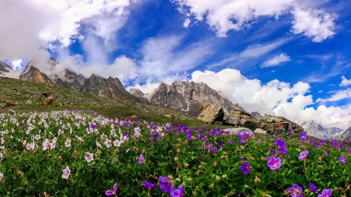 Himalayan landscape near Valley of Flowers