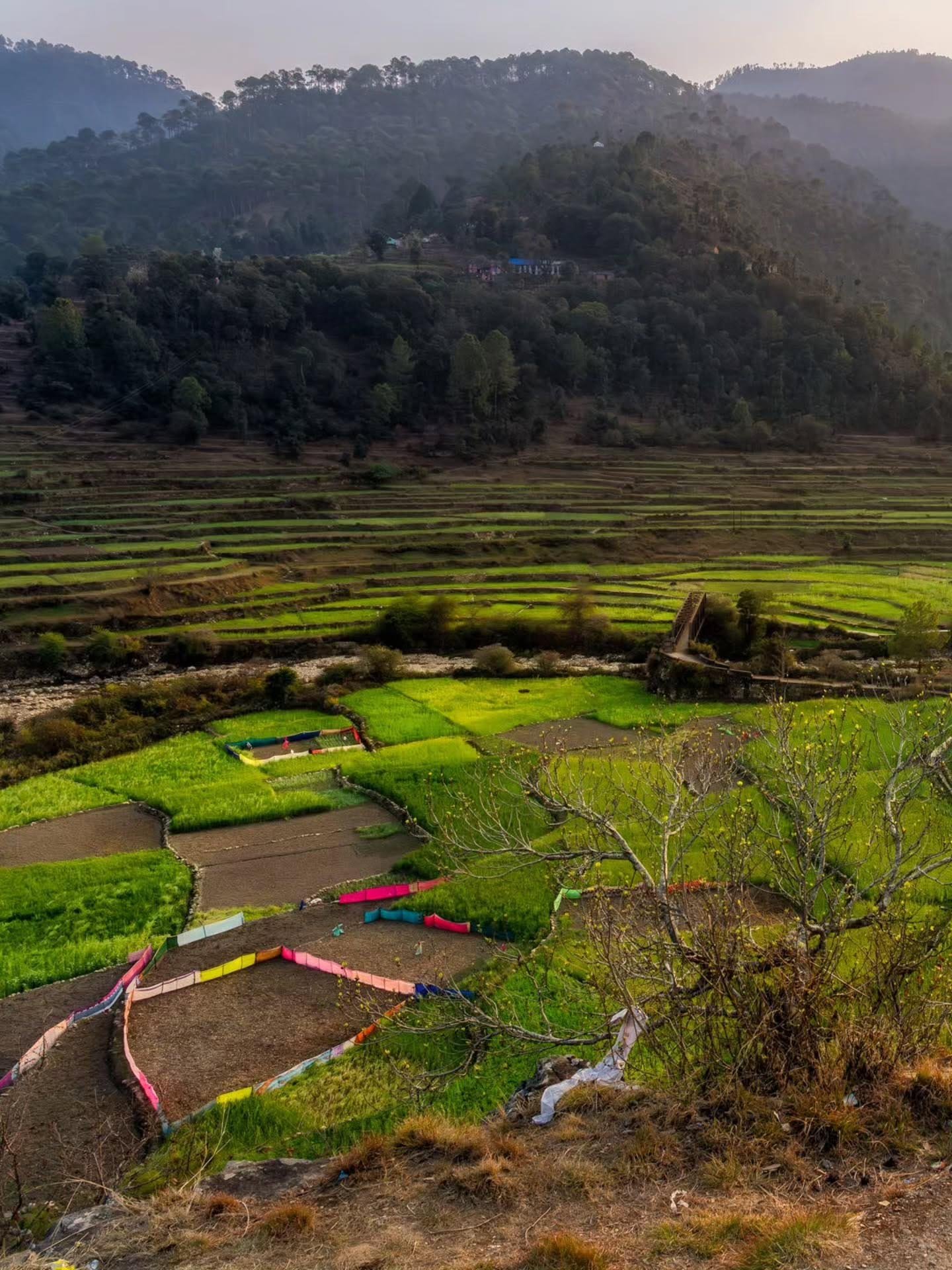 Village life in Chamoli